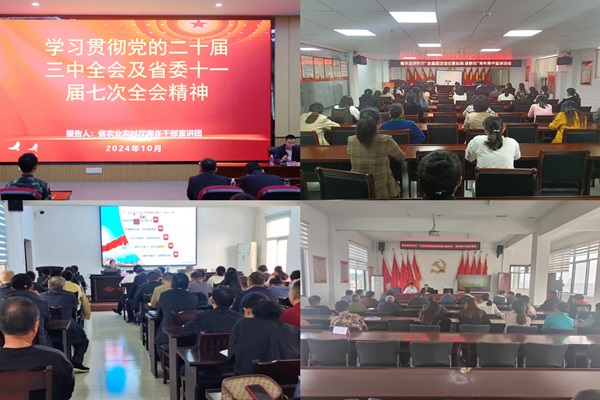 20241010162552_18604 (1).jpg